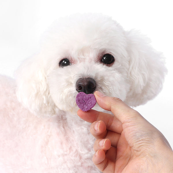 Freeze Dried Organic Yogurt With Fruits