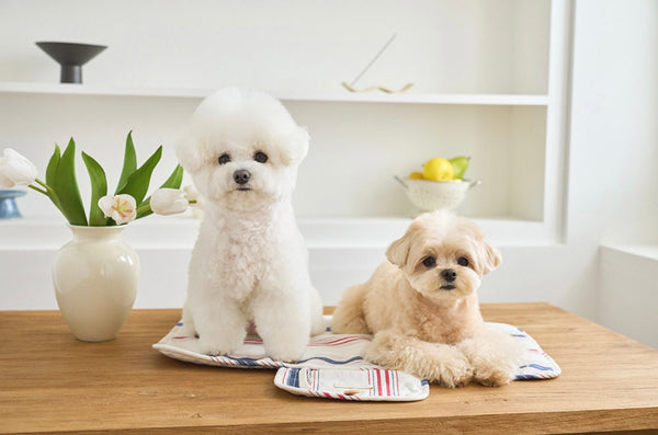 French Linen Cool Mat