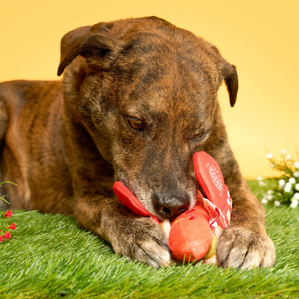 Hot Doggie Nosework Toy