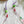 Traffic Light Bug Cat Teaser Refill Toy