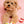[PRE ORDER] Sanrio Characters Bakery Latex Toy