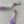 Mini Purple Minnow Cat Teaser Refill Toy