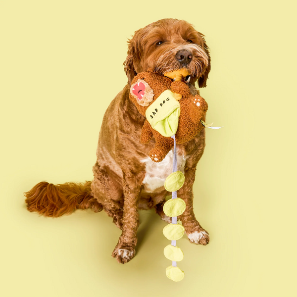Happy Bear Tofino Nosework Toy