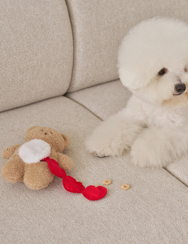 Sniff Sniff Bear Nosework Toy