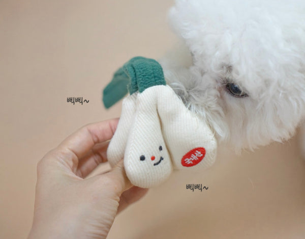 Cabbage Nosework Toy