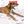 Newspaper Issue No.2 Nosework Toy