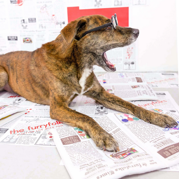 Newspaper Issue No.2 Nosework Toy