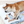 [PRE ORDER] Snoopy Cool Roll Mat – Surf Pattern