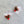 Flaming Moth Feather Cat Teaser Wand Refill Toy