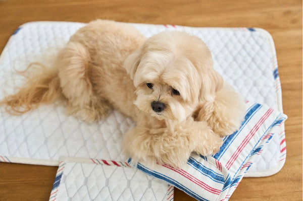 French Linen Cool Mat