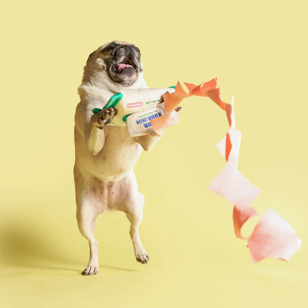 Doggo Wipe Nosework Toy