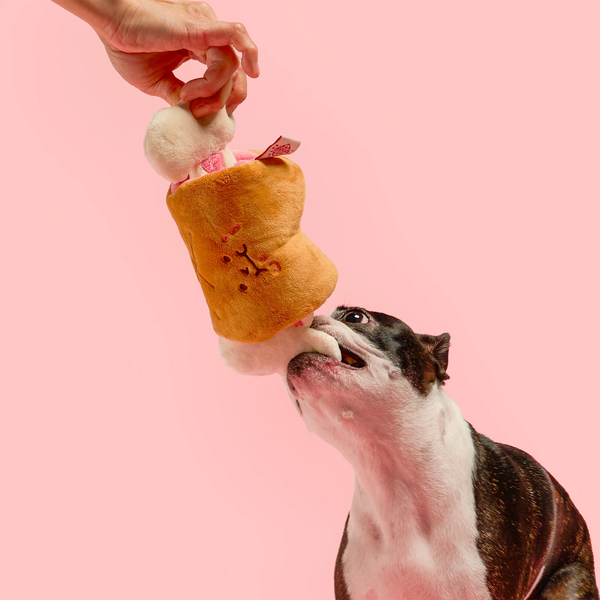 Bone Appétit Nosework Toy