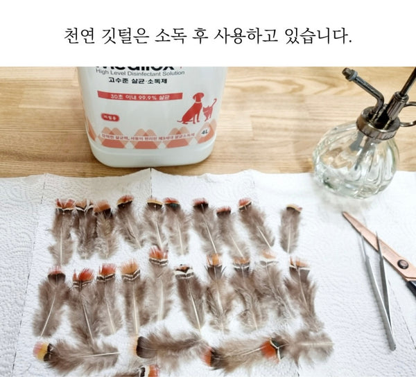 Betta Fish Feather Cat Teaser Refill Toy