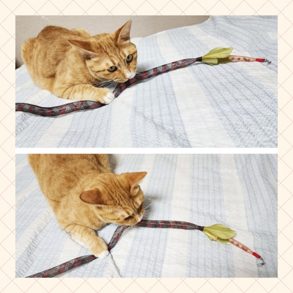 2-Piece Bubble Snake Cat Wand & Mouse Toy Set