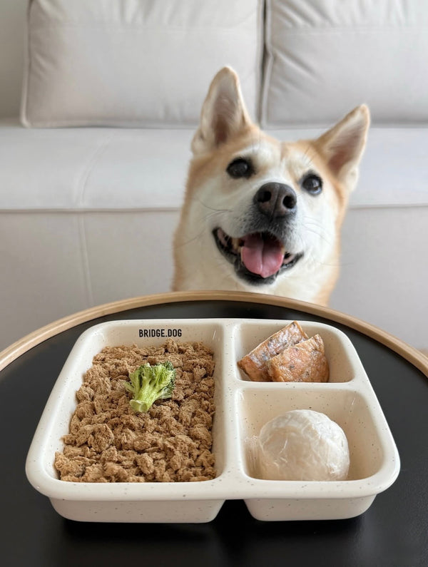 [PRE ORDER] FOOD PLATE - CREAM