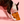 Bone Appétit Nosework Toy