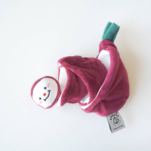 Red Onion Nosework Toy