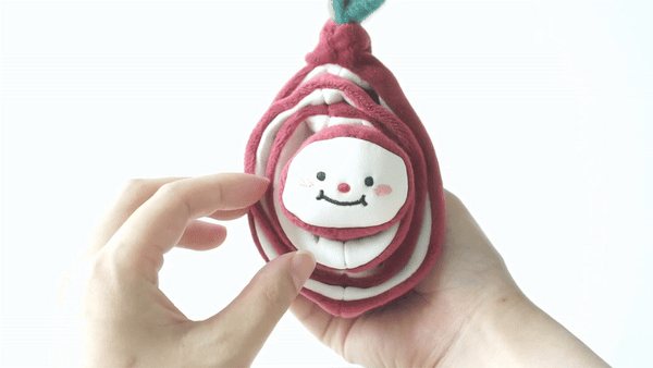 Red Onion Nosework Toy