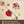 Pocket Fruits Nosework Toy