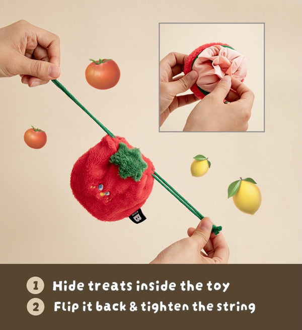 Pocket Fruits Nosework Toy