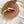 Pink Hamster Bug Cat Teaser Refill Toy