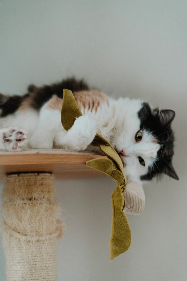 RADISH CAT TOY