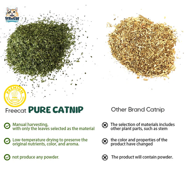 All Natural Pure Catnip