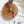 Traffic Light Bug Cat Teaser Refill Toy