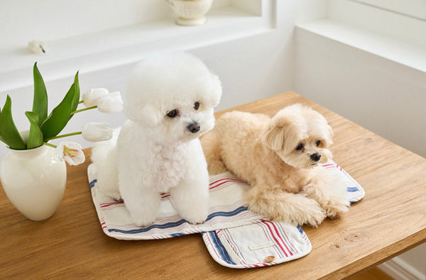 French Linen Cool Mat