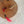 Coco Bird Cat Teaser Refill Toy