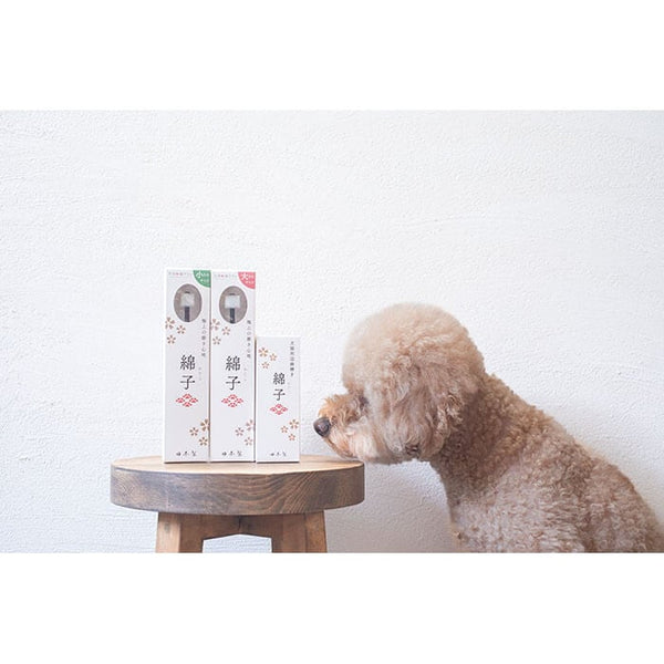 WATA Foaming Toothpaste