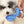 Sanrio One-Touch Water Bottle