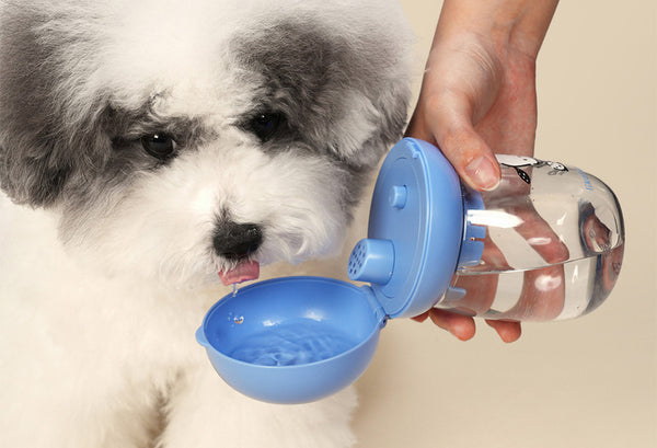 Sanrio One-Touch Water Bottle