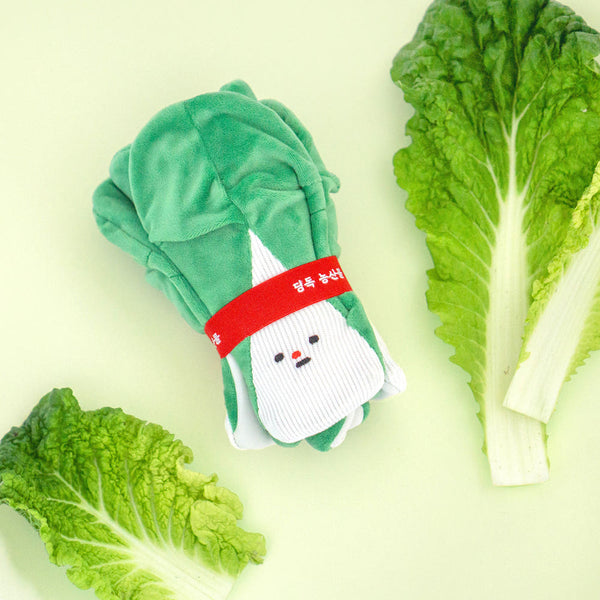 Cabbage Nosework Toy