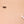 Money Bug Cat Teaser Stick Refill Toy