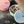 [PRE ORDER] DOG SI RAK SNACK BOWL