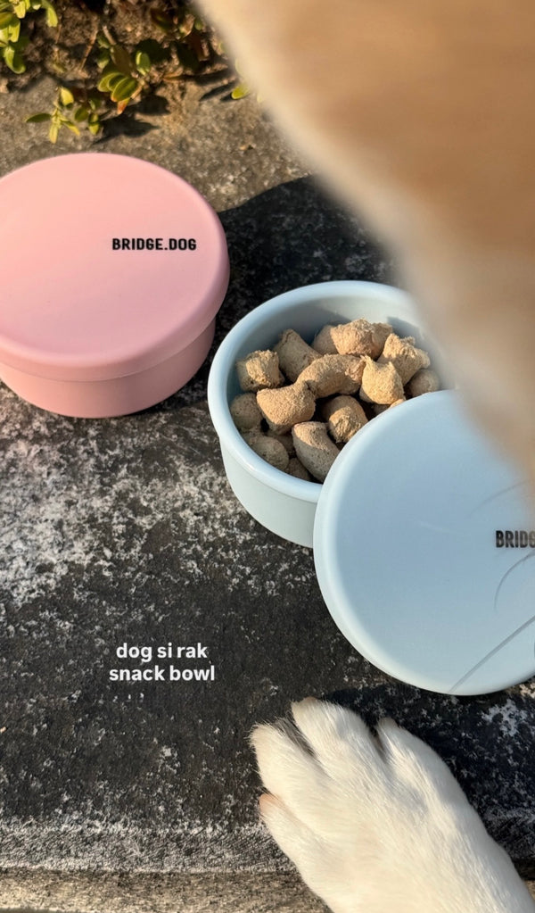 [PRE ORDER] DOG SI RAK SNACK BOWL