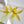 Forsythia Cat Teaser Wand Refill Toy (Rotating)