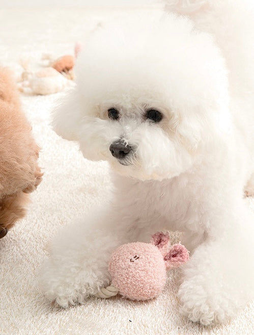 [PRE ORDER] Animal Rattle Toy