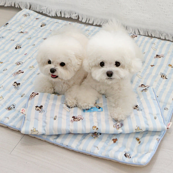 Disney Rayon Cooling Mat