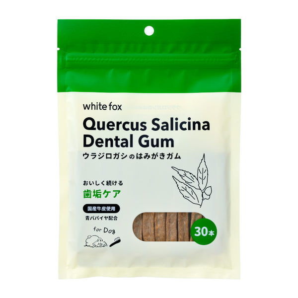 Quercus Salicina Dental Gum