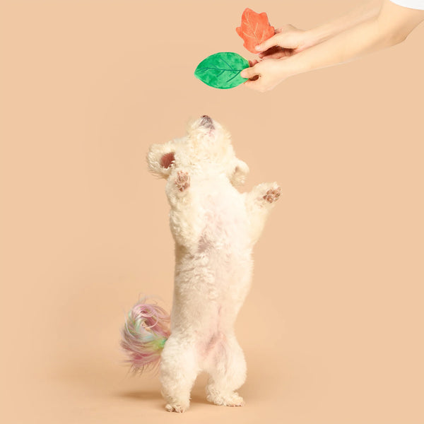 Branch Manager’s Branch Nosework Toy