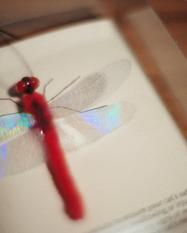 Red Dragonfly Cat Teaser Refill Toy