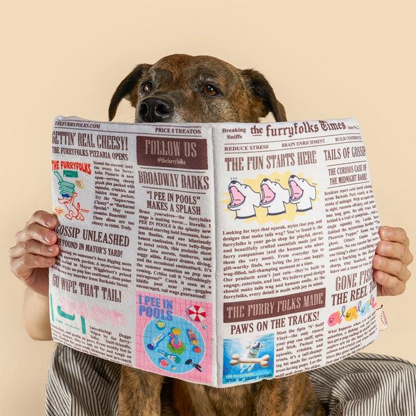 Newspaper Issue No.2 Nosework Toy