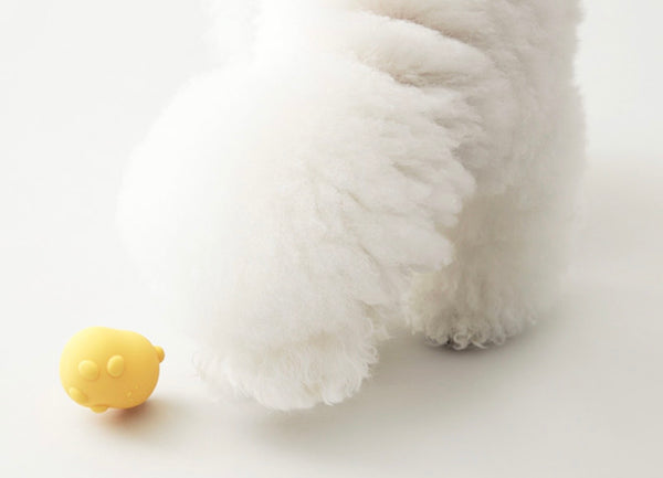 Jelly Bear Silicone Nosework ball