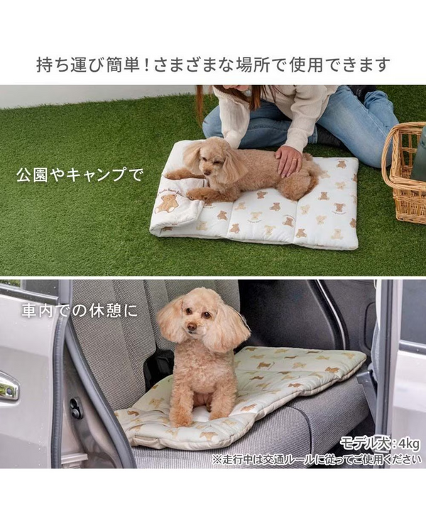 Bear Design Cool Roll Mat