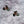 Peacock Moth 3-Wing Cat Teaser Wand Refill Toy