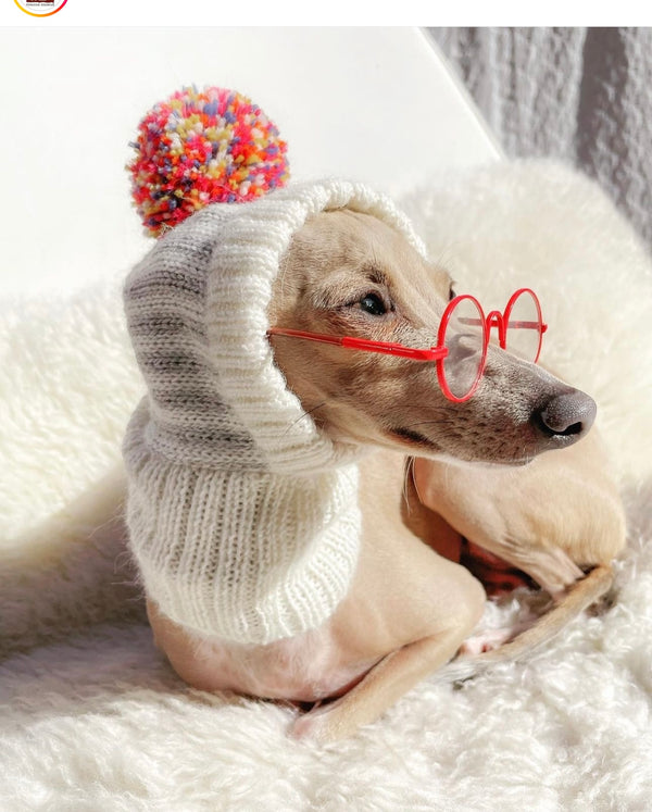 Rainbow Alpaca Dog Hat