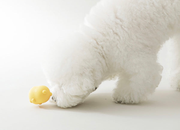 Jelly Bear Silicone Nosework ball