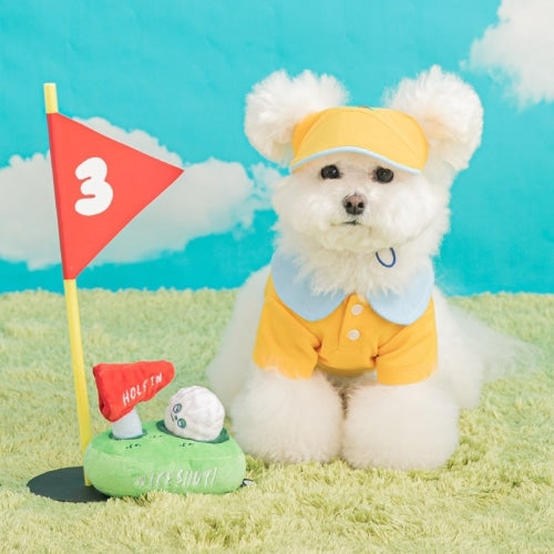 Golf Nose Work Toy